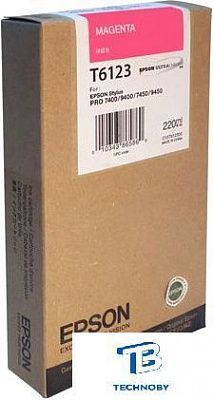 Картридж Epson C13T612300
