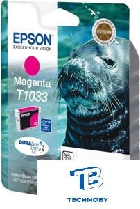 Картридж Epson C13T10334A10