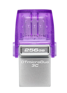 Флэш накопитель Kingston DTDUO3CG3/256GB
