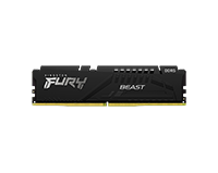 ОЗУ Kingston KF556C36BBE-32
