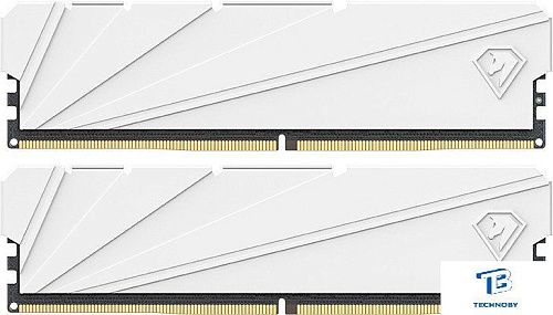 ОЗУ Netac NTSSD4P32DP-32W