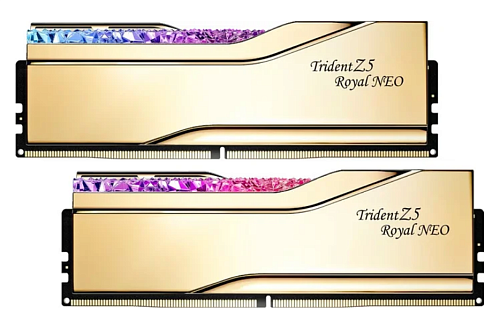 ОЗУ G.Skill F5-6000J2836G32GX2-TR5G