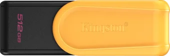 Флэш накопитель Kingston DTXS/512GB