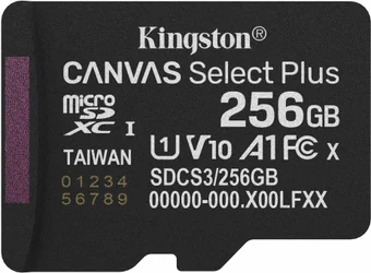 Карта памяти Kingston SDCS3/256GB