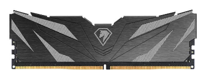 ОЗУ Netac NTSWD5P60SP-16K