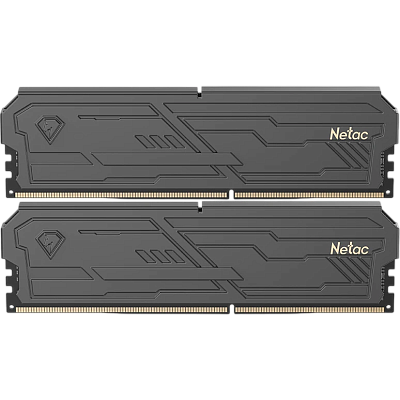 ОЗУ Netac NTSHD4P32DP-16K